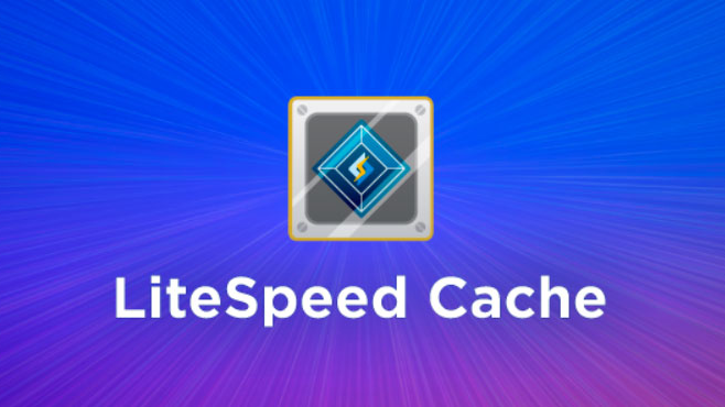 plugin litespeed cache